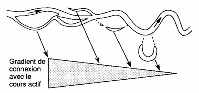 rhone figure lone connexion